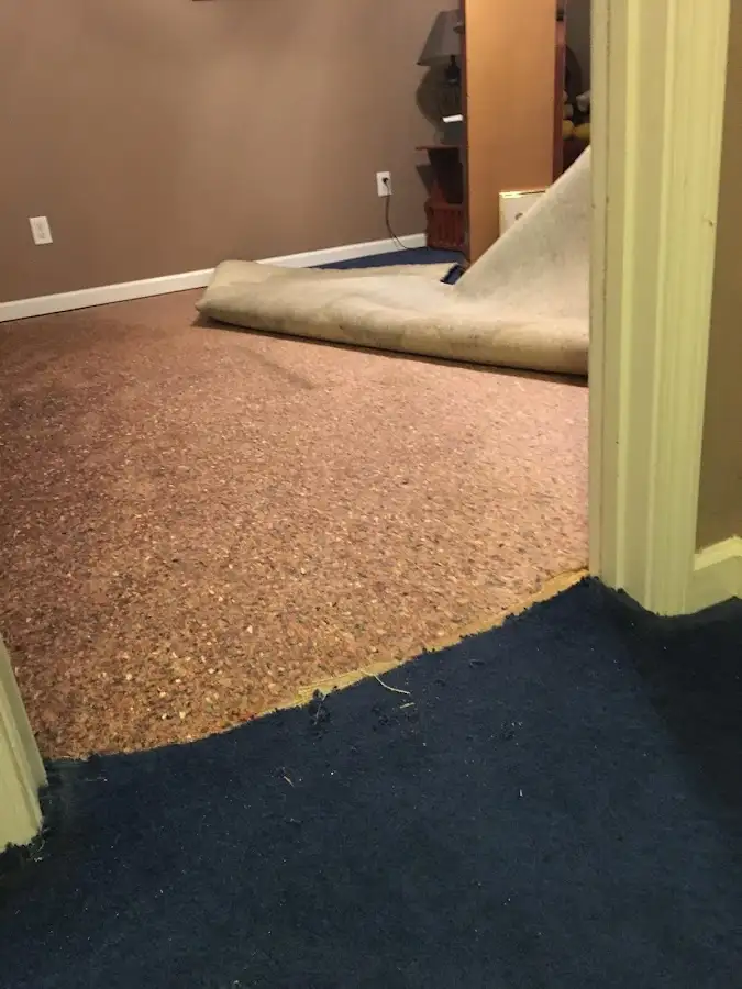 Carpet pad removal revealing water damage during Drying & Dehumidification in Van Buren