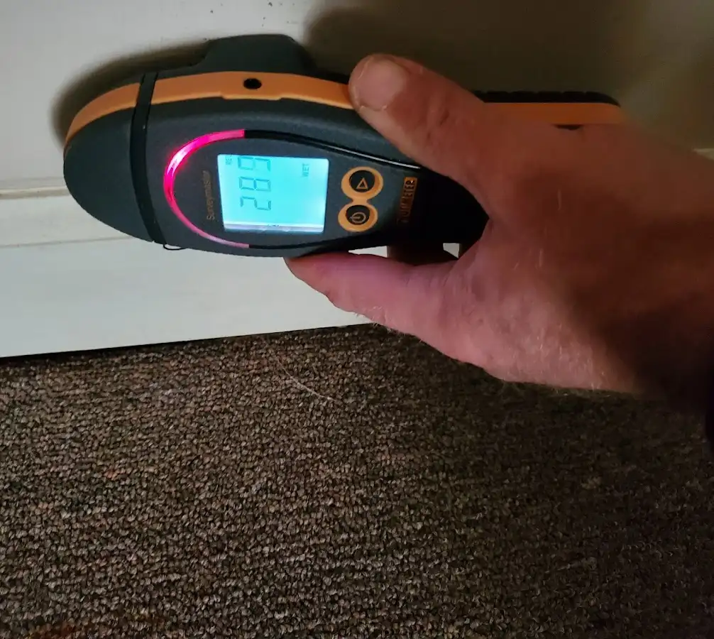 Moisture detection at baseboard during Sewage Cleanup & Sanitation in Van Buren